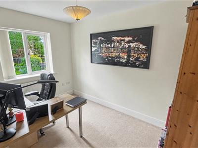 Picture 21